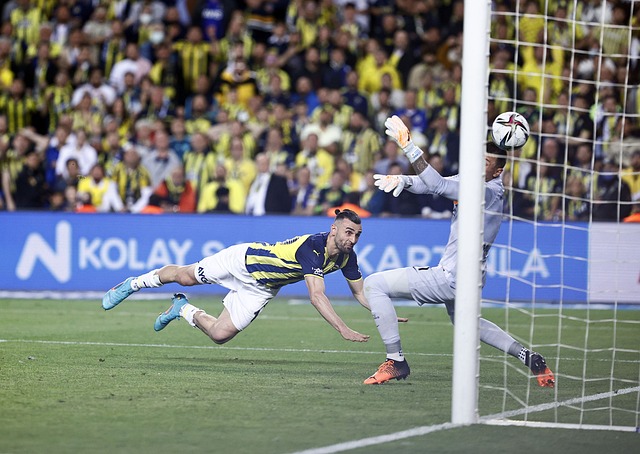 进行数据分 进行数据分