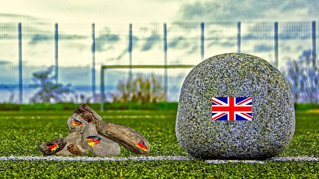 在潮湿和阴 在潮湿和阴