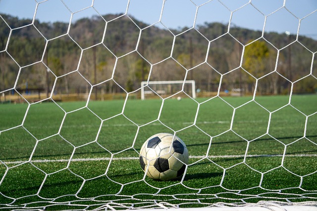 球迷重新燃 球迷重新燃