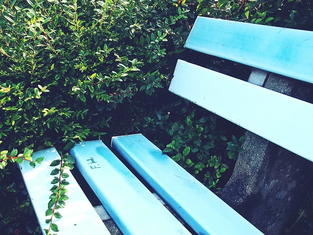 歇期的动机 歇期的动机