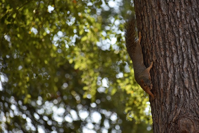 我们来说绝 我们来说绝