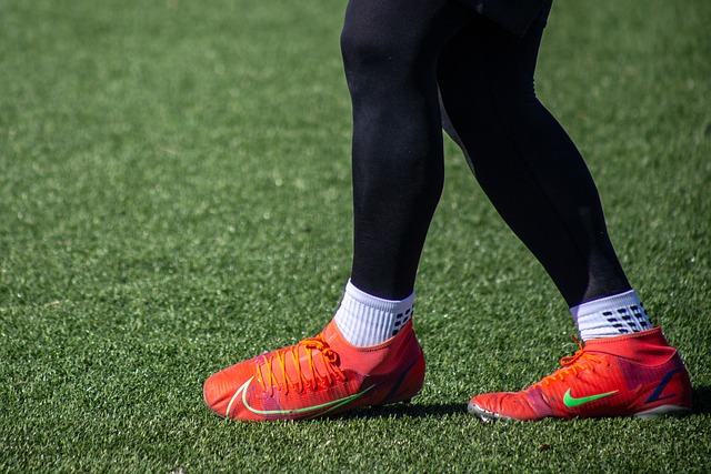 丰富的资料 丰富的资料