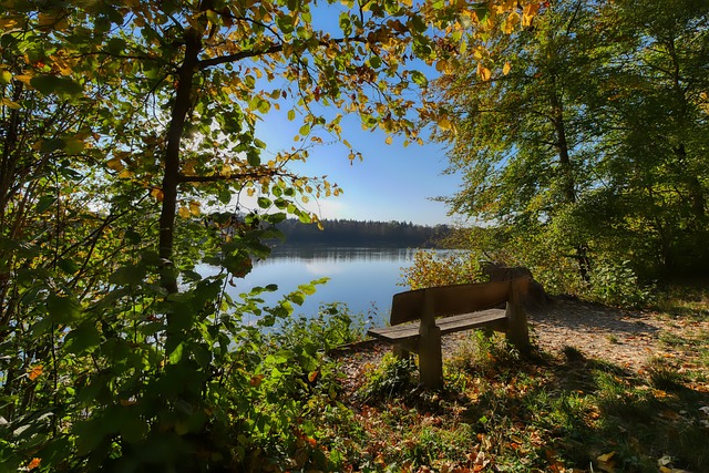 进攻核心 进攻核心