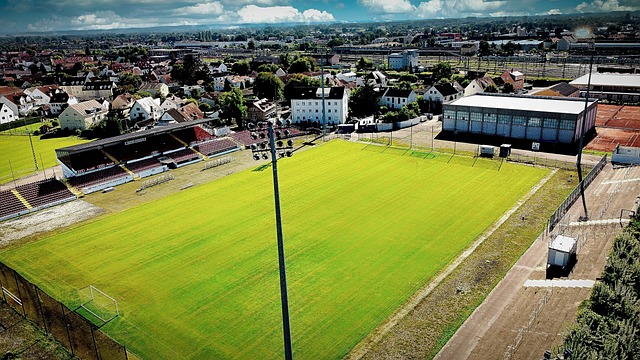 高效的表现 高效的表现