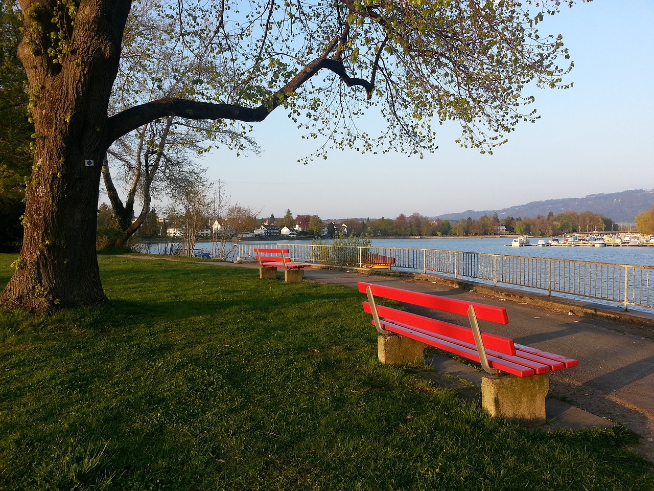 是球员中的 是球员中的